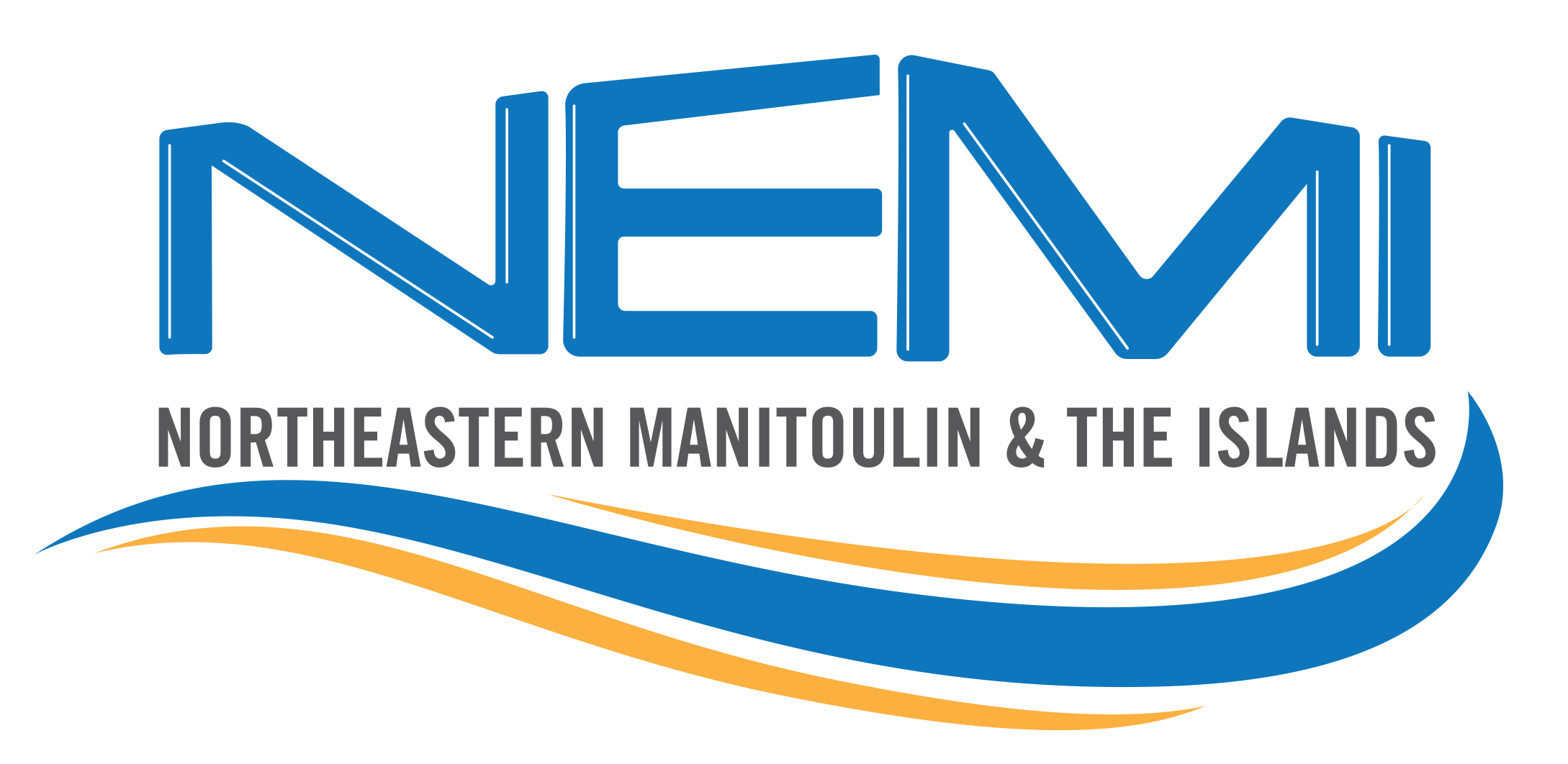 NEMI_LOGO_COLOUR_NO-BCKGRD