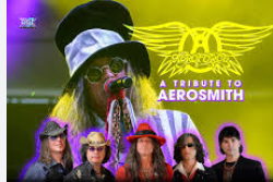 A tribute to Aerosmith