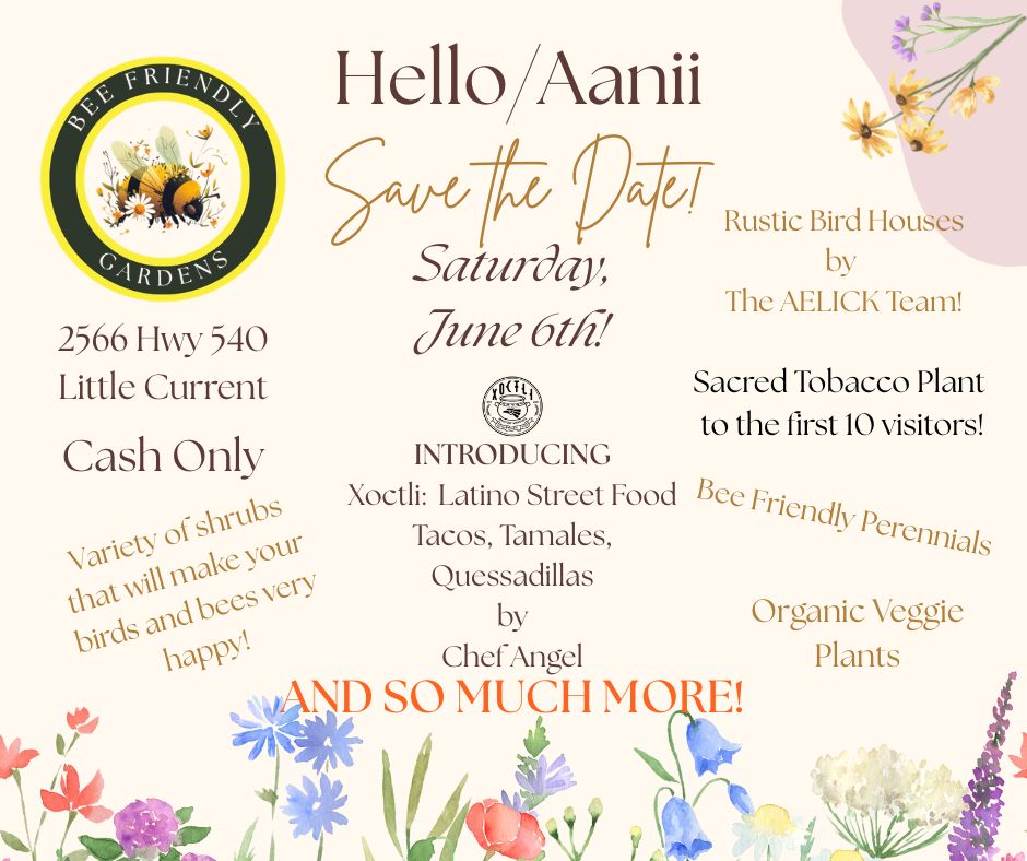 Bee Friendly Gardens